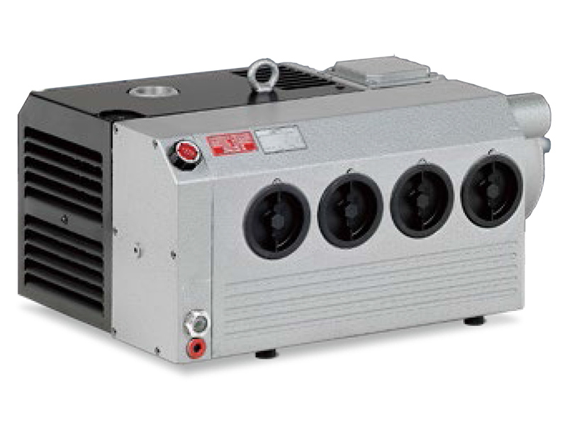 Oil-type rotary vane vacuum pump
